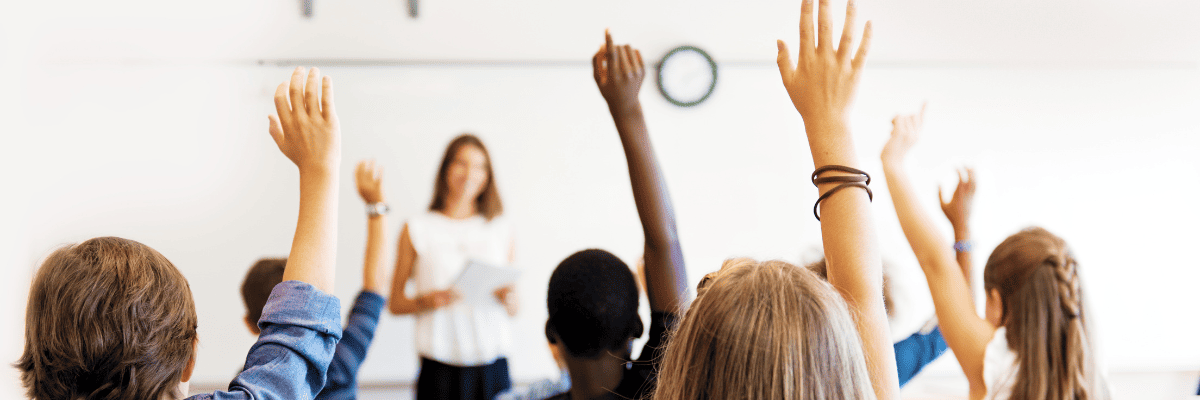 Teachers Assistant (TA)